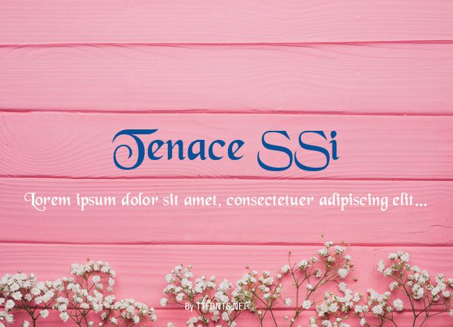 Tenace SSi example